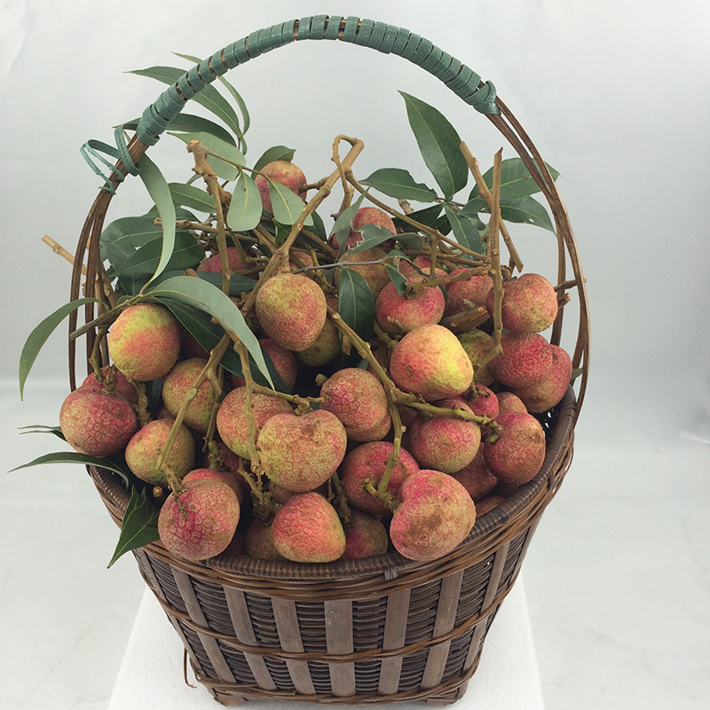 荔枝诚可贵，快递价更高