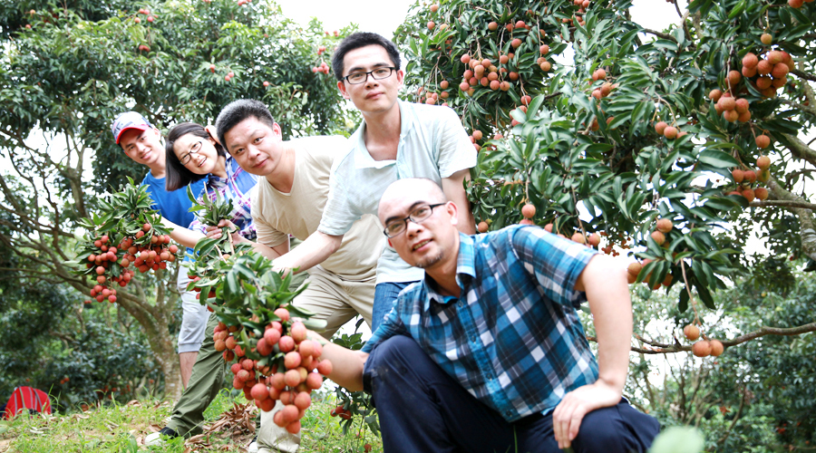 让舌尖上的荔枝更加生鲜和美味