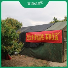 【高凉优品】高凉优品定制高端蜂蜜一个花季只采一次蜜